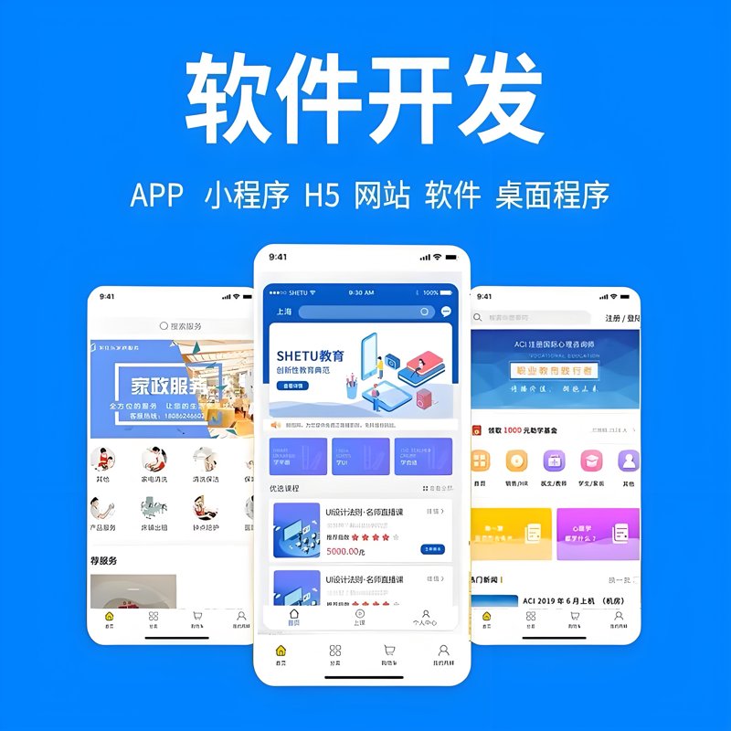 软件开发定制:助力企业数字化转型的新引擎