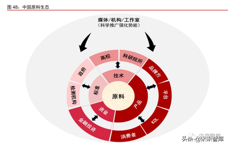 数据中台：企业未来发展的信息引擎